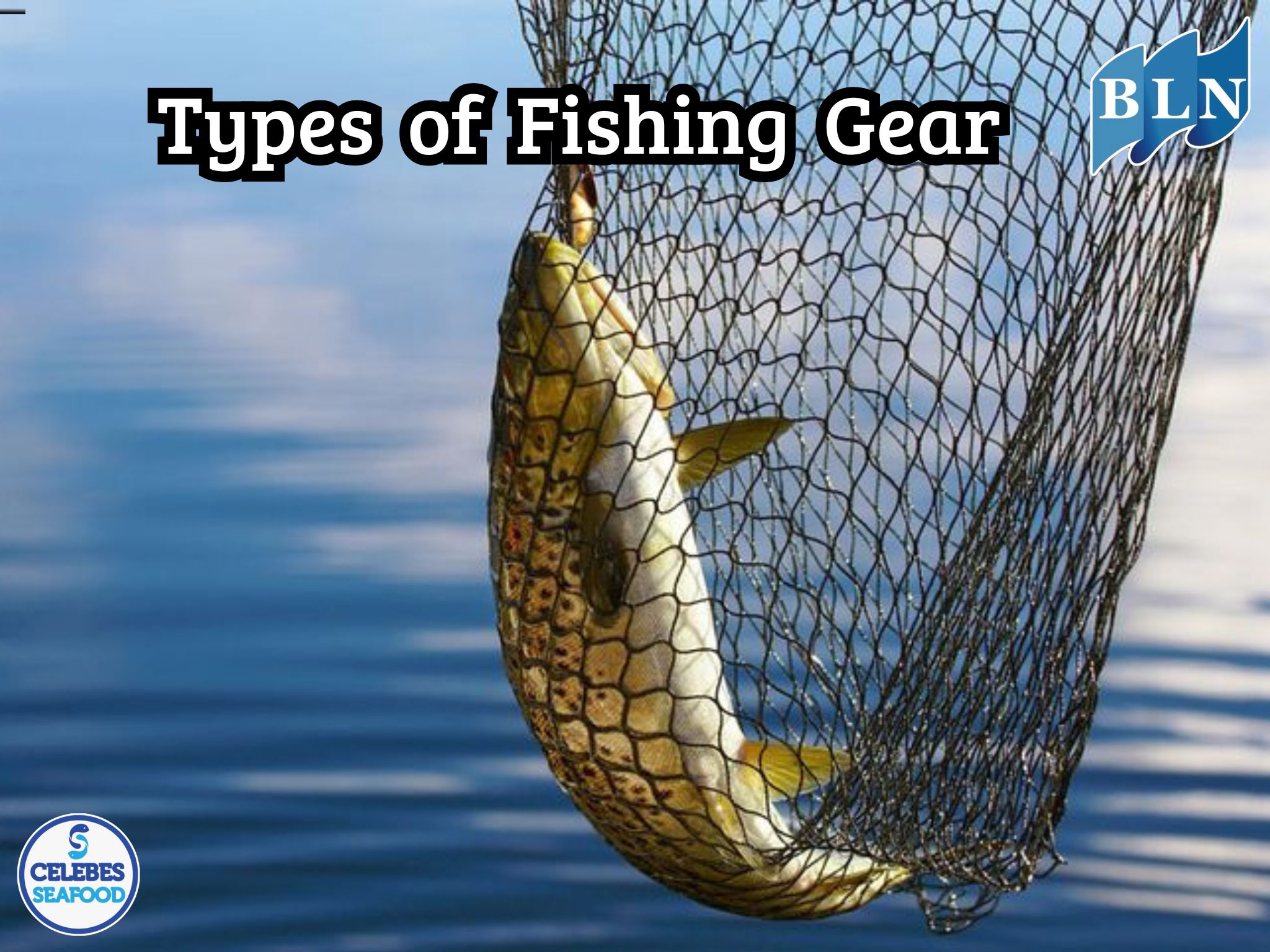 Types of Fishing Gear